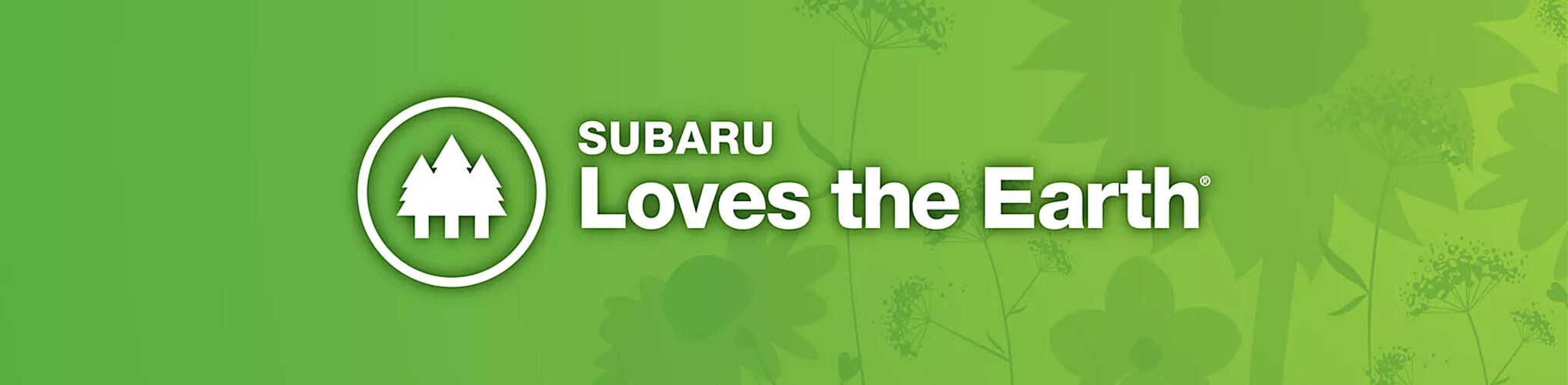Subaru-Loves-Earth.jpg