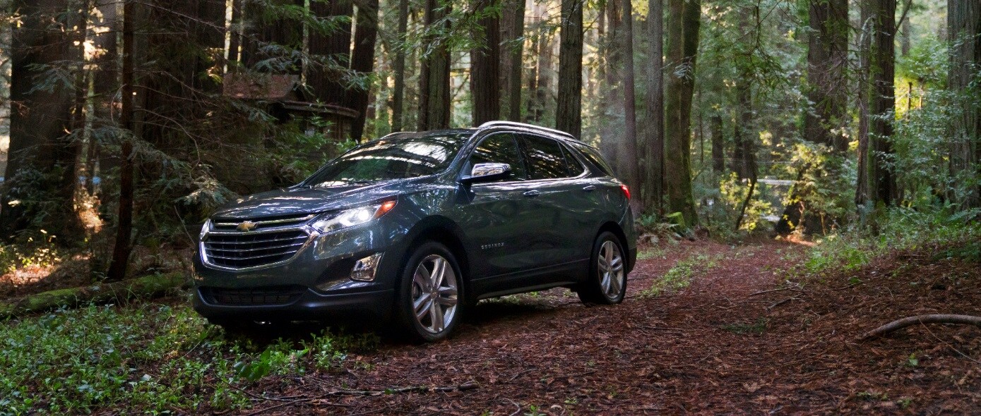 2020 Chevy Equinox. 2.jpg