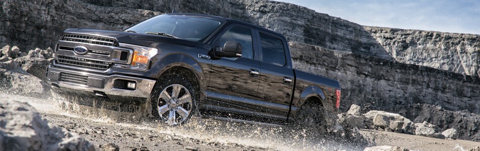 2019F150.jpg