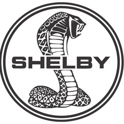 shelby3.png