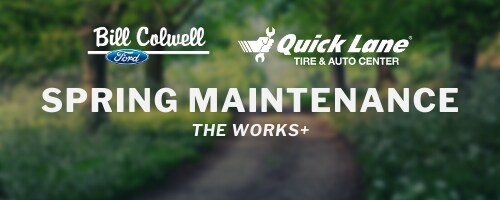 Spring Maintenance webpage.png