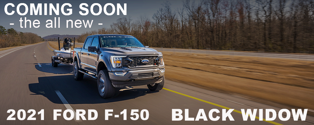 BW_21_Ford_f150_Roller_16.9_3-16-21 Title.png
