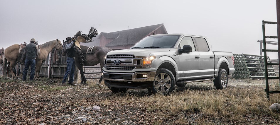 2019-Ford-F150-XLT-Standard-SuperCrew-5ftBox-Truck-L02.jpeg