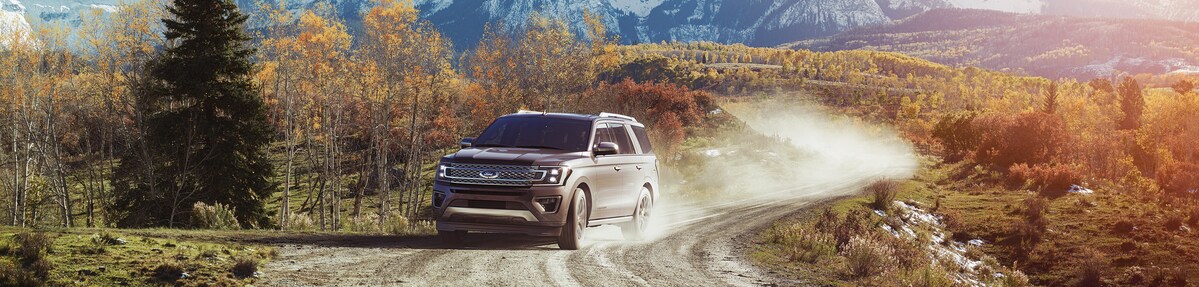Ford Expedition Platinum SUV Ford Expedition Platinum SUV