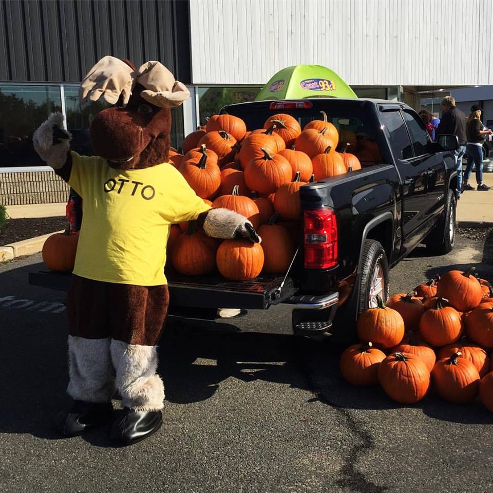 Fall Festival