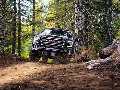 2019-GMC-Sierra1500-AT4-CrewCab-ShortBox-Truck-L10.png