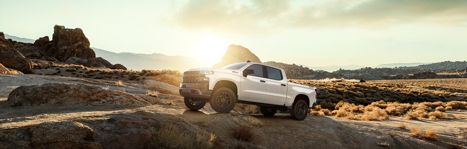 2021 Chevrolet Silverado 1500 Custom Trail Boss