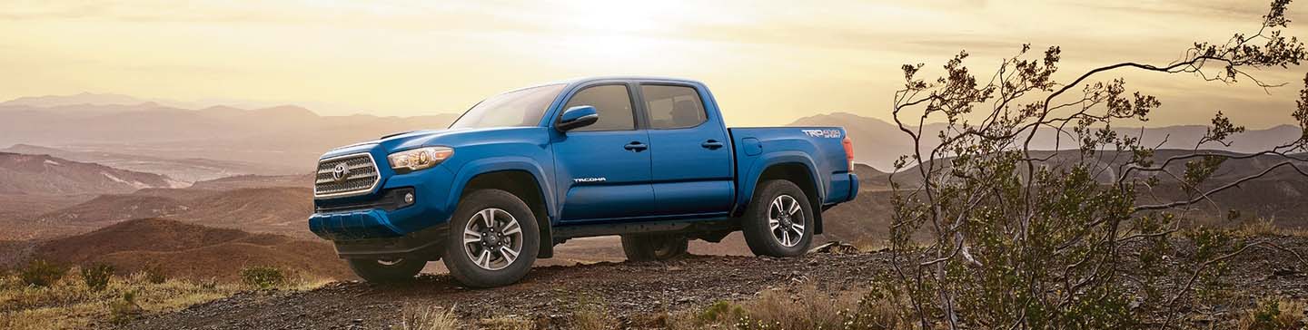toyota tacoma.jpg