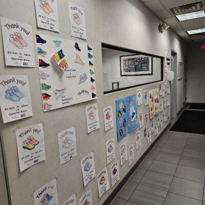 Classroom Adoption