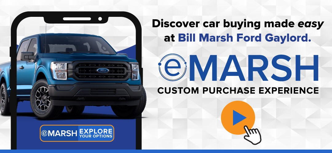 eMarsh-header-play-GAYLORD.jpg