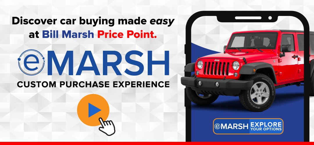 eMarsh-header-play-PP.jpg