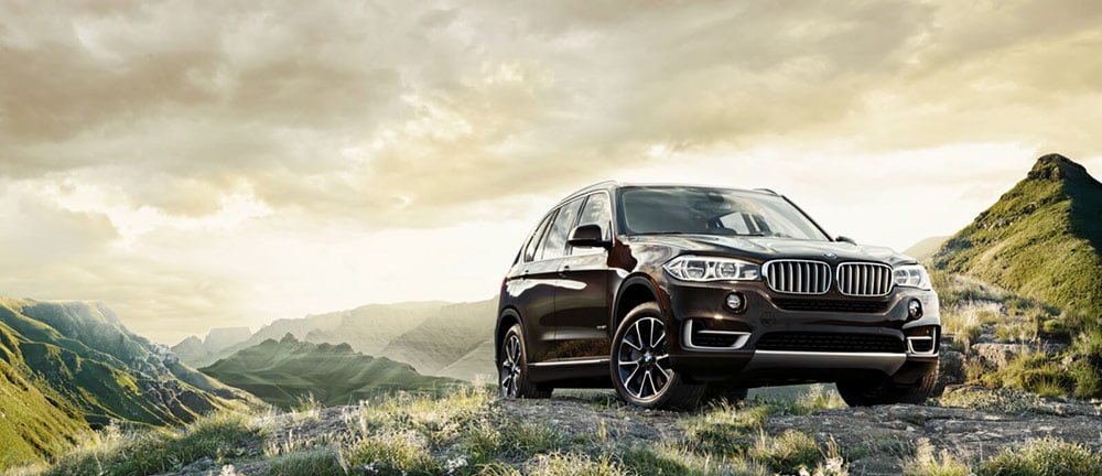 BMW X5 On Hill.jpg