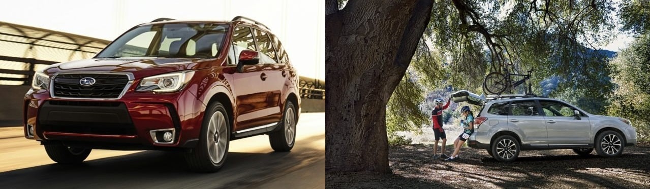 Compare The Subaru Forester Vs Competitors Toyota RAV4 Nissan Rogue 