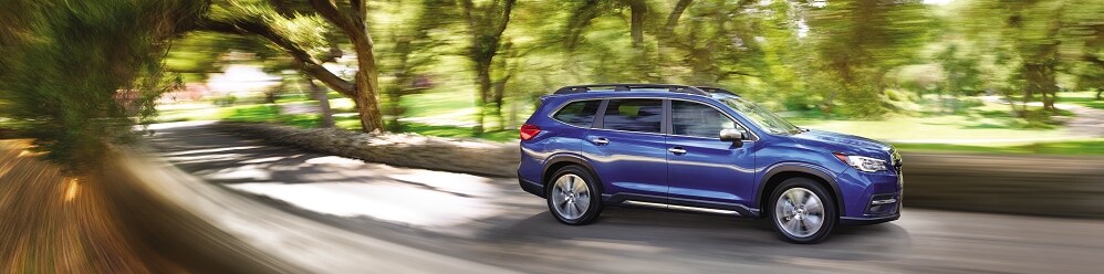 2019 Blue Subaru Ascent.png 2019 Subaru Ascent Inventory near Syracuse