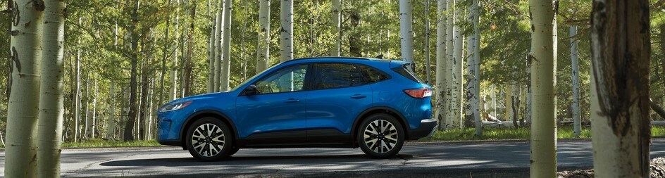 2021-Ford-Escape-SE-Sport-SUV-L03.jpeg