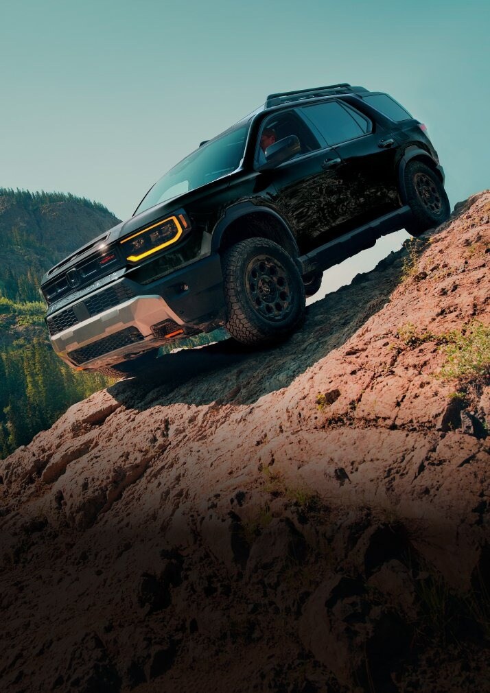 Performance Performance