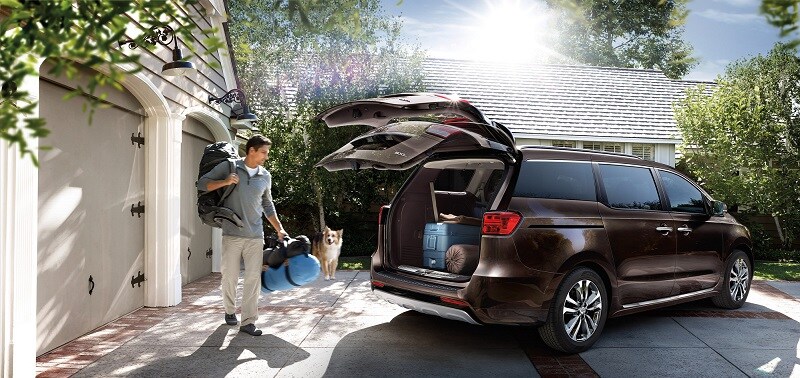 2017 Kia Sedona in Chicago, IL