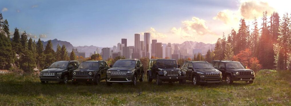 2017 Jeep Lineup.PNG