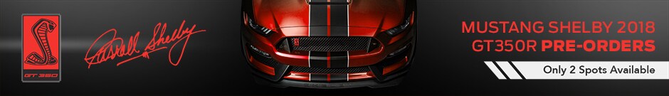 BFR 01-Shelby-Pre-Order-small.jpg