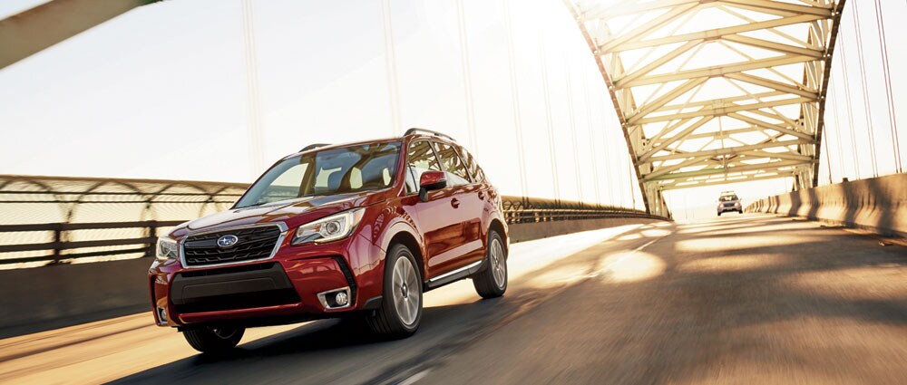 subaru forester miami