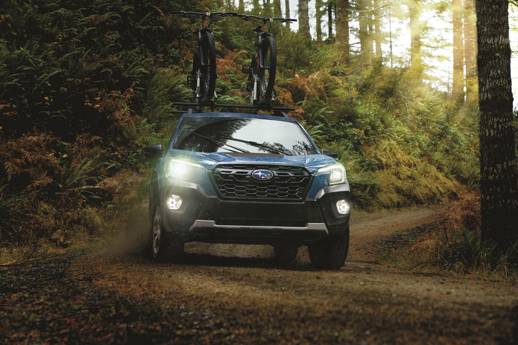 Searching Our Used Car Lineup
