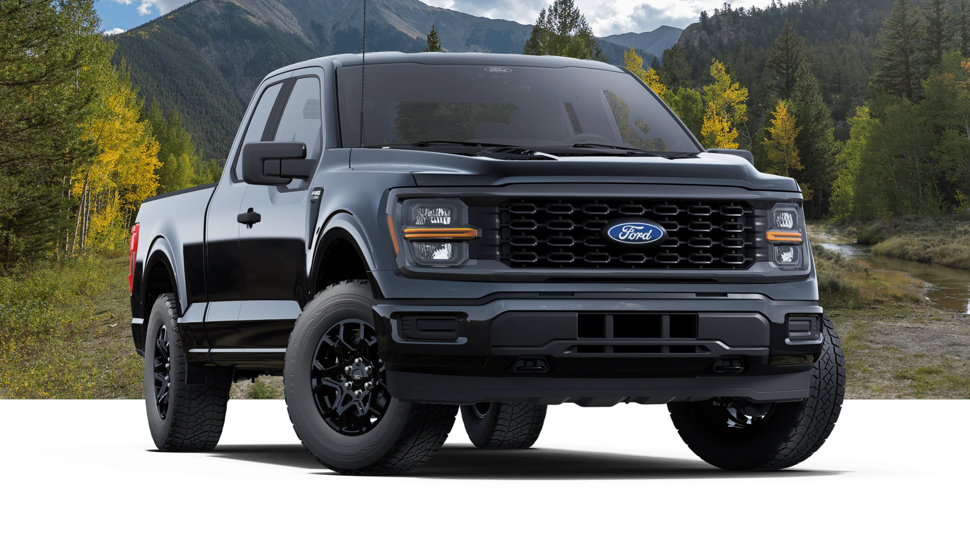 Ford F-150 Trims Ford F-150 Trims