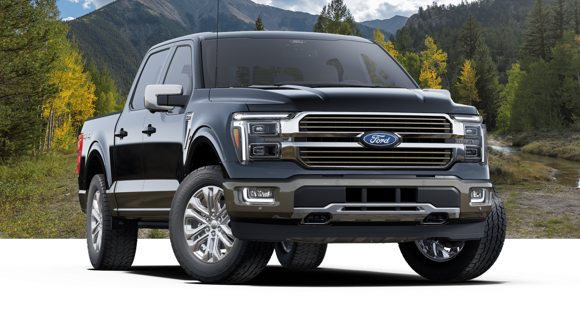 Ford F-150 Trims Ford F-150 Trims