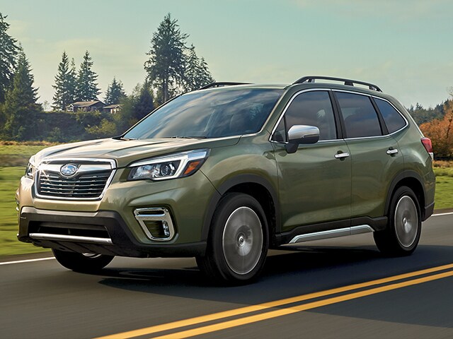 640x480Forester.jpg