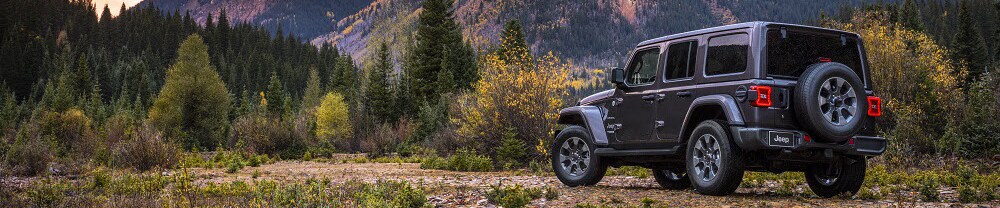Jeep Wrangler Off-Road