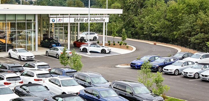 BMWAsh6.jpg