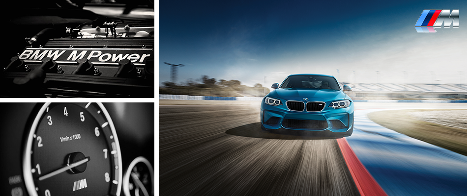 Mpower_collage.png