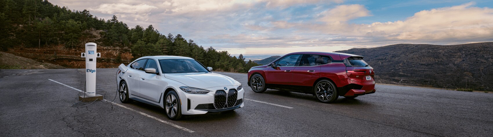BMW iX and i4 White Red