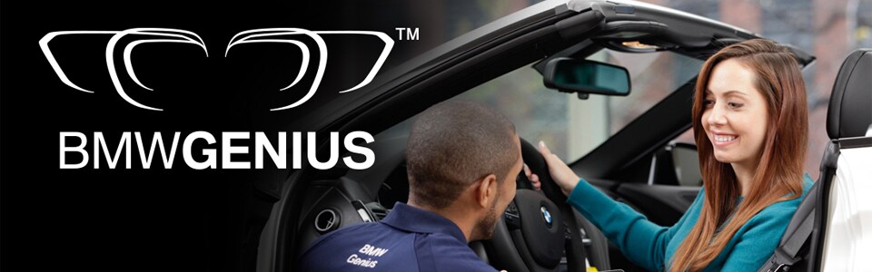 bmwgenius2.jpg