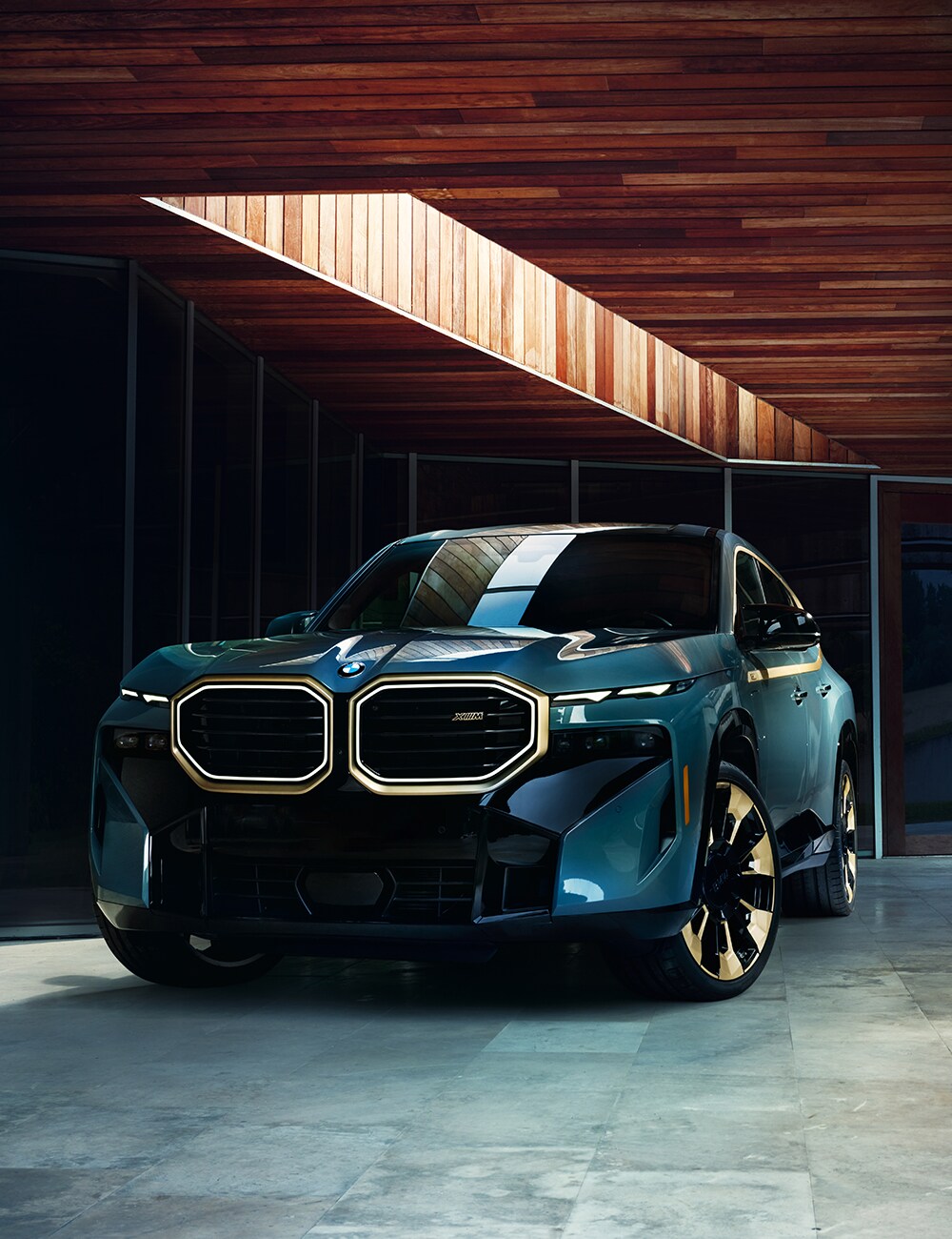 BMW-XM-Lead-Form.jpg