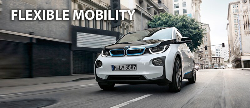 Flexible Mobility