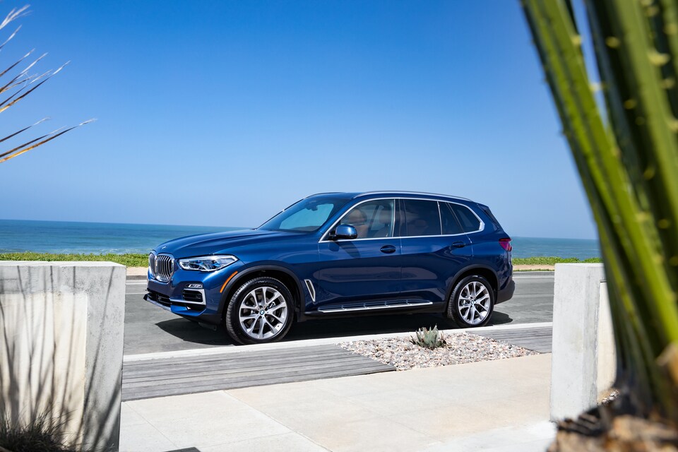 2021-BMW-X5-xDrive40i-xLineDesign-SUV-L02 (1).jpeg