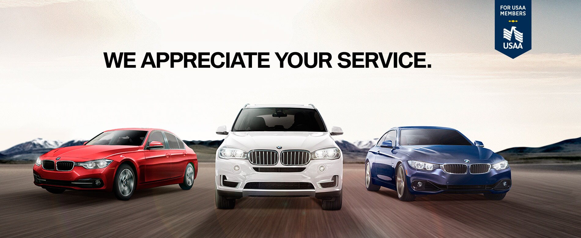 USAA_Website_Page.jpg