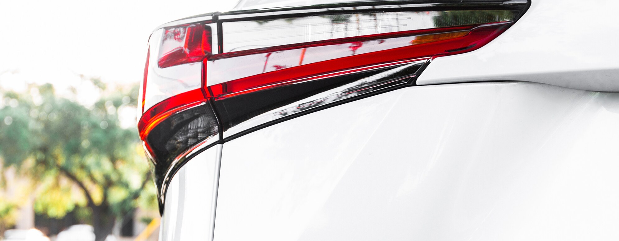 Lexus-back-light-BMW.jpg