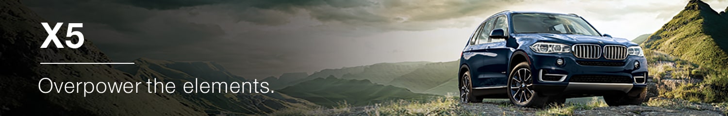BMW X5 Banner