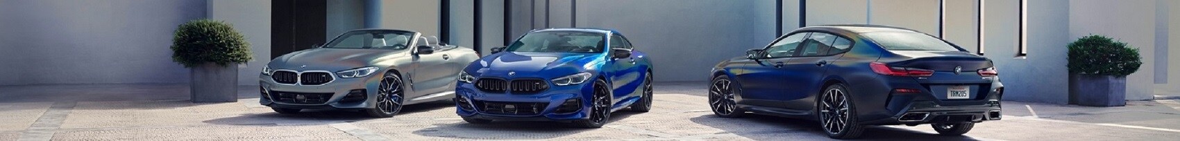 Centro de finanzas de BMW