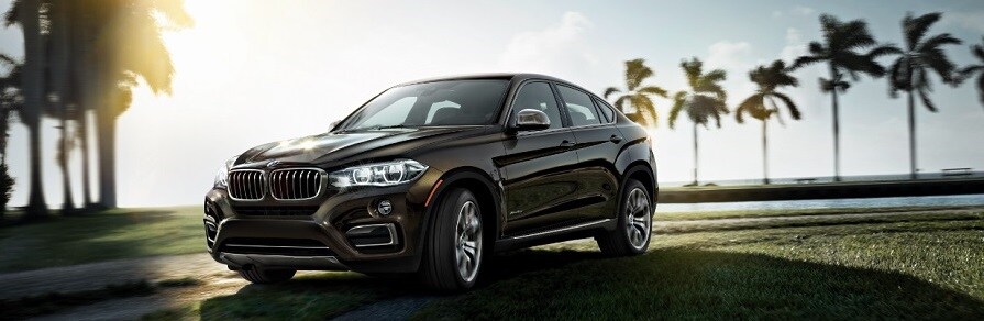 2019 BMW X6 in Macon