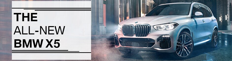 2019 BMW X5.png
