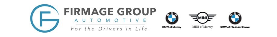 firmage group.jpg