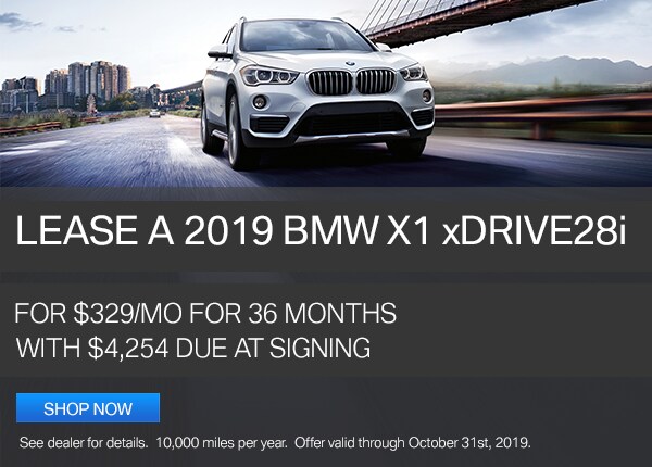 X1 xDrive28i Custom Special.png