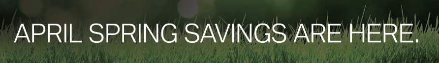 Spring Savings