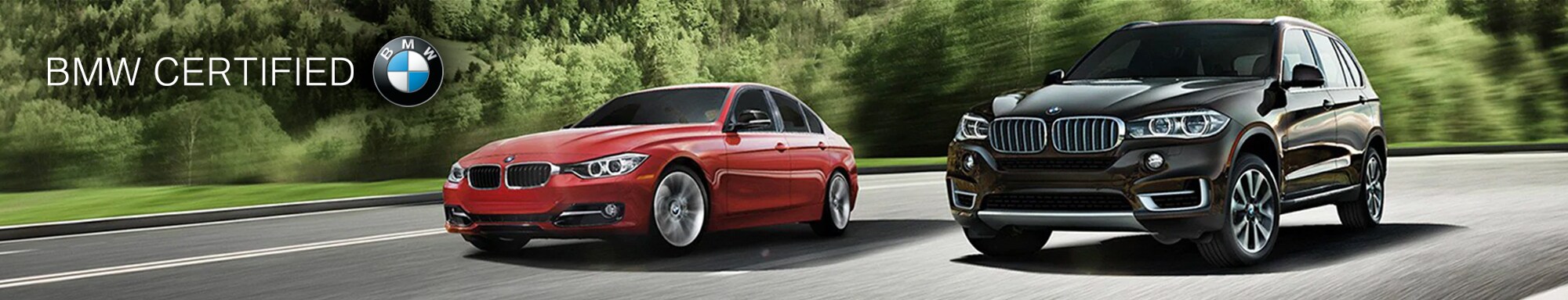 bmwcpoprogram