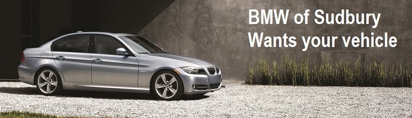 buy cars.png