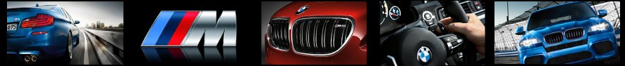m-header(3).jpg