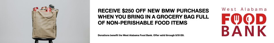 Carlock-BMW_Foodbank-950x150.jpg
