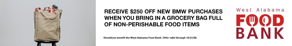 Carlock-BMW-foodbank-950x150.jpg
